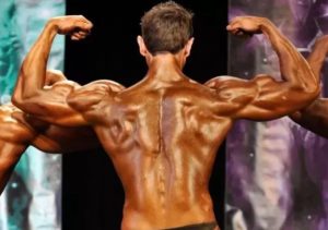 muscles