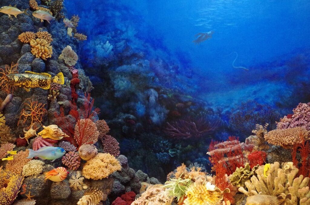 seabed